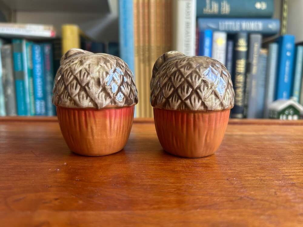Ceramic Acorn Salt and Pepper Shakers Brown Orange